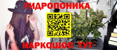эйфоретик Будённовск