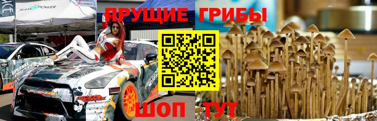 Галлюциногенные грибы Magic Shrooms  цена наркотик  Вход с VPN  Рузаевка  Галлюциногенные грибы Psilocybe 